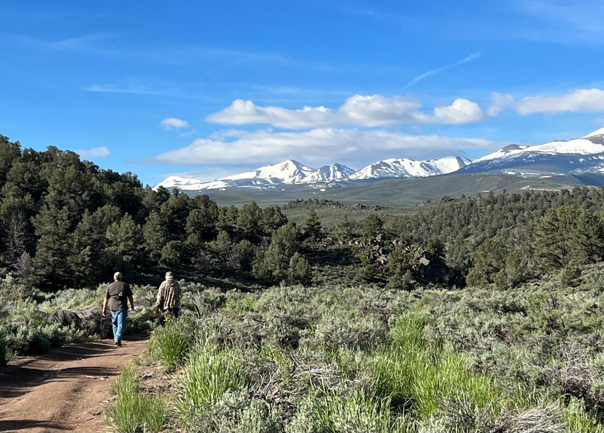 Willow Springs Resort Bridgeport Bagian luar foto